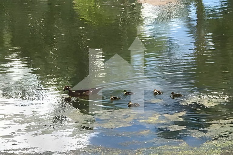 Casa de Férias Perto da Disney - 4 Quartos