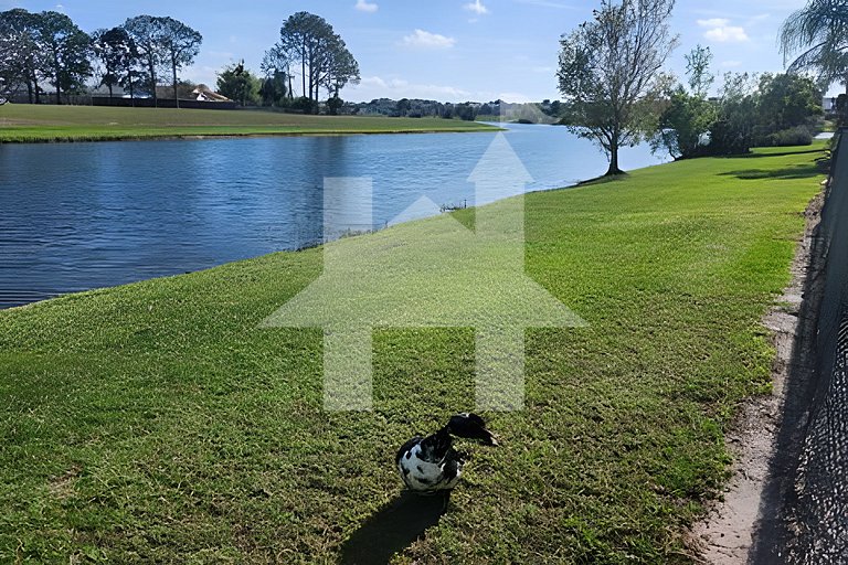 SVH - 3137 · Lakeview Pool Villa, 3BD/2BA 10 min to Disney!